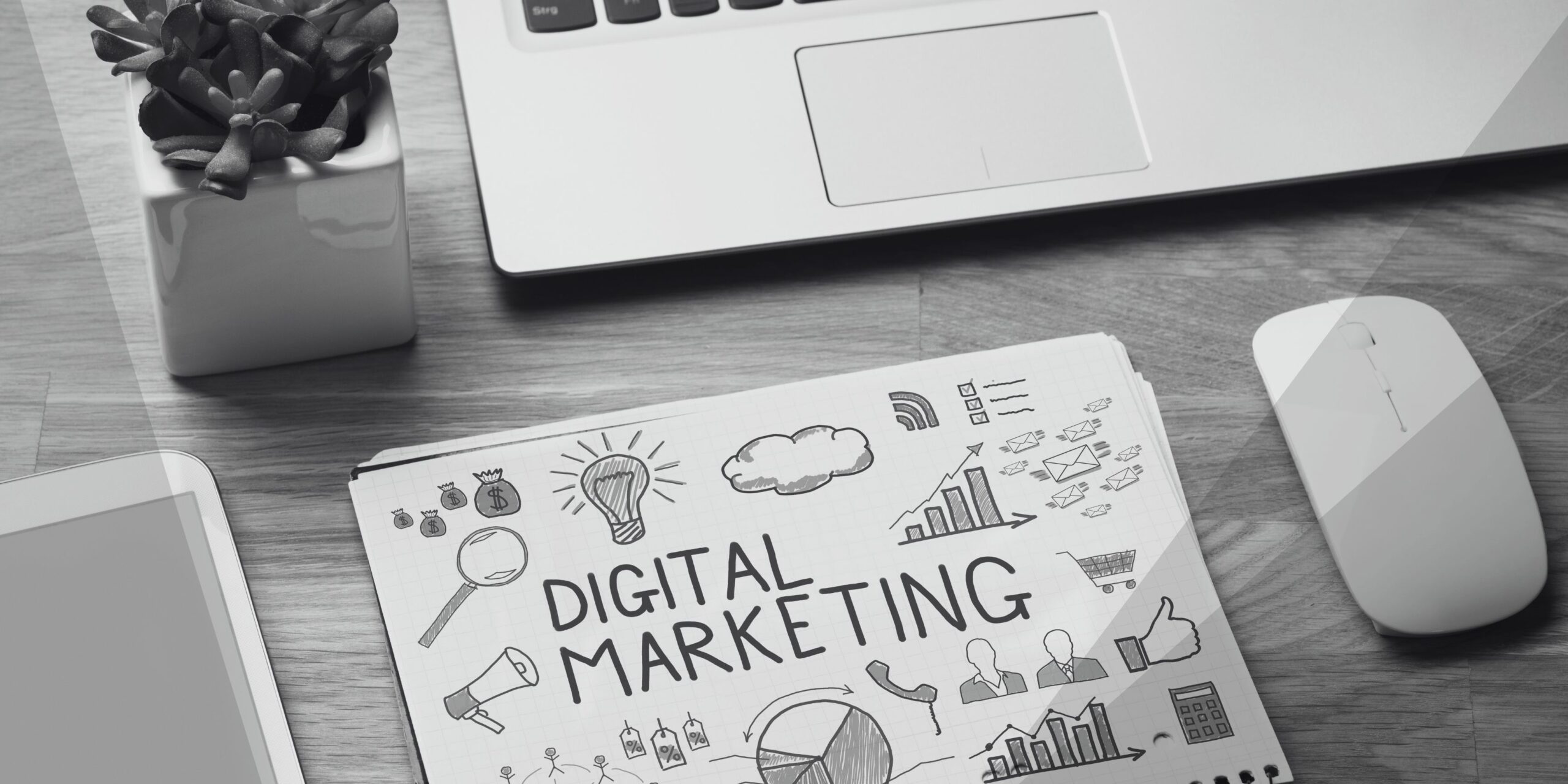 Tacy Consulting -  votre strategie marketing digital sur-mesure