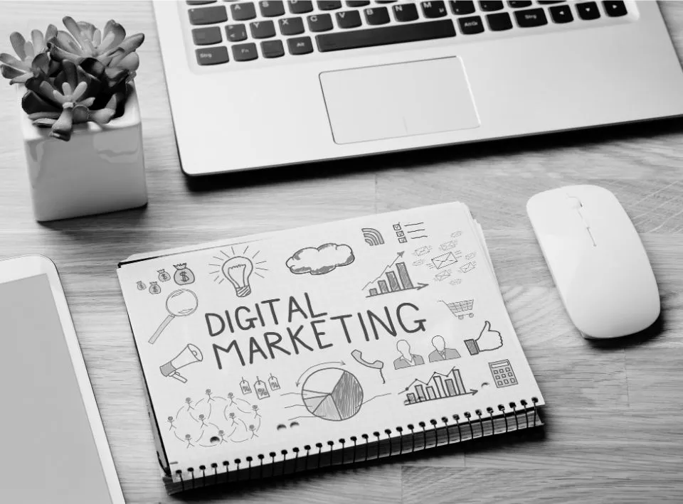 Tacy Consulting Audit et stratégie digitale sur-mesure